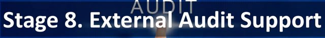 Stage 8. External Audit Support